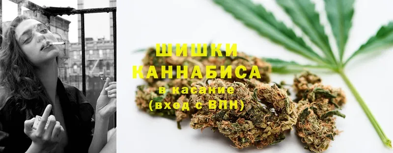 где продают   Коммунар  Каннабис планчик 